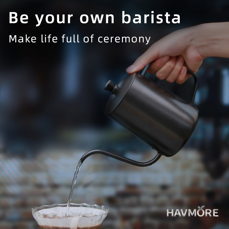 HAVMORE 304 roestvrijstalen th - Coffee Tea Pots recensie en prijs
